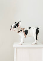 OTTO Figure 8 Harness