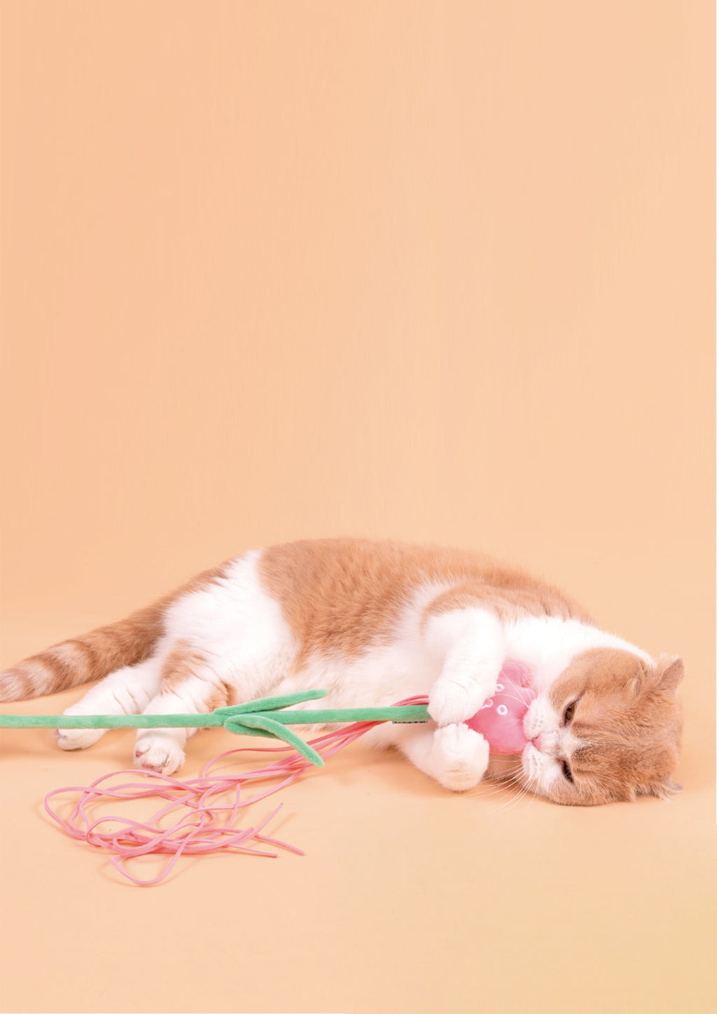 Tulip Cat Teaser with Catnip