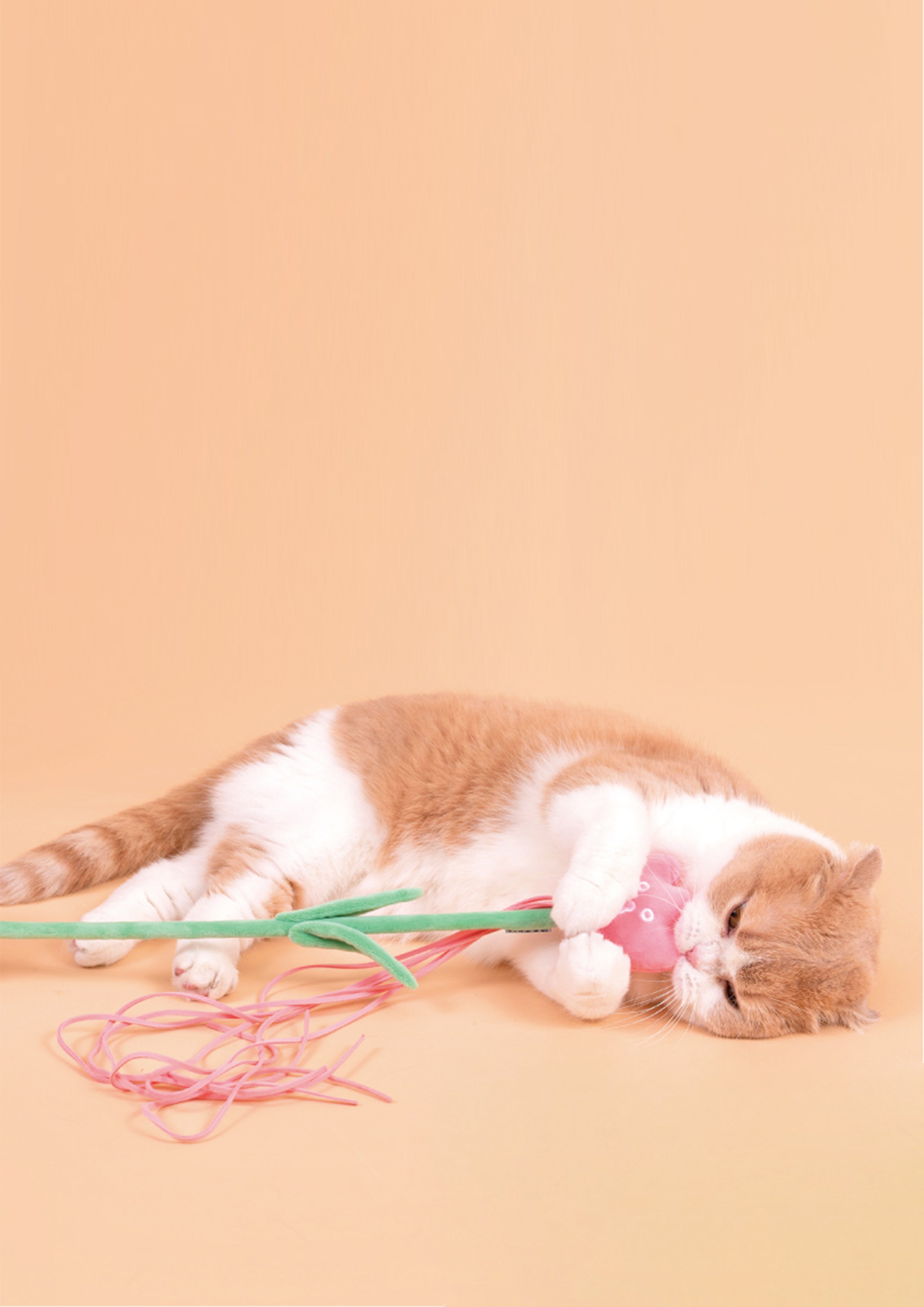 Tulip Cat Teaser with Catnip