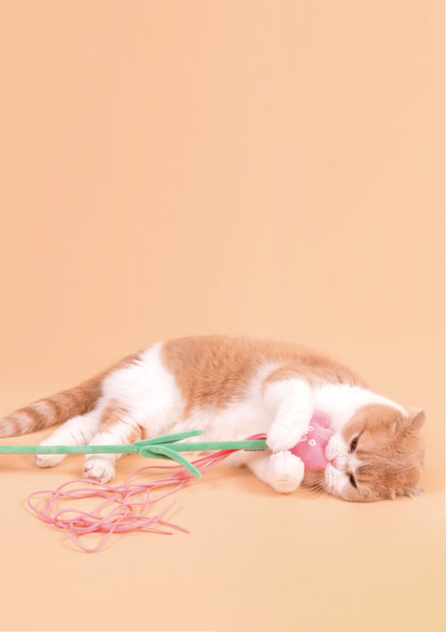 Tulip Cat Teaser with Catnip