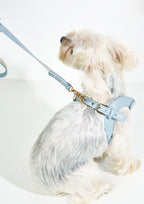 LETA Harness & Leash Set (Grey)