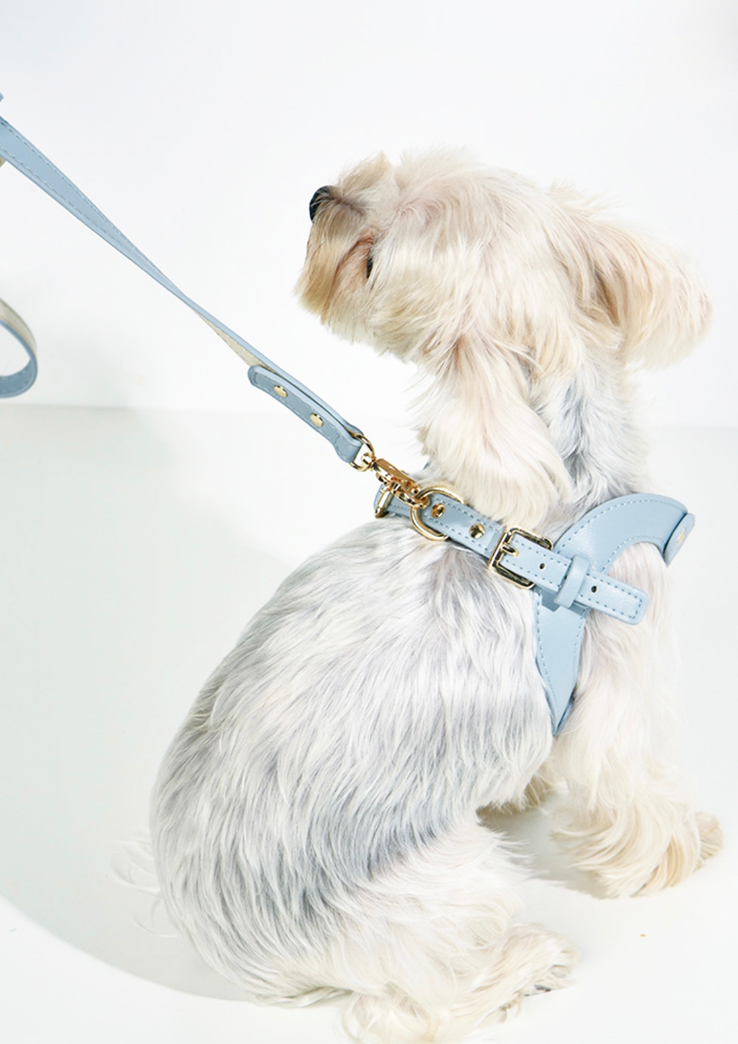 LETA Harness & Leash Set (Grey)
