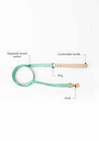 CURIO Collar & Leash Set (Mint)