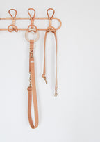 FJOL Multipurpose Leash (Isabella)