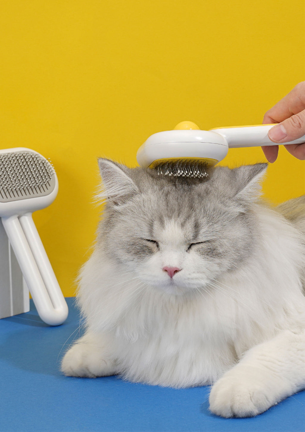 Oblong Comb with Fur Remover