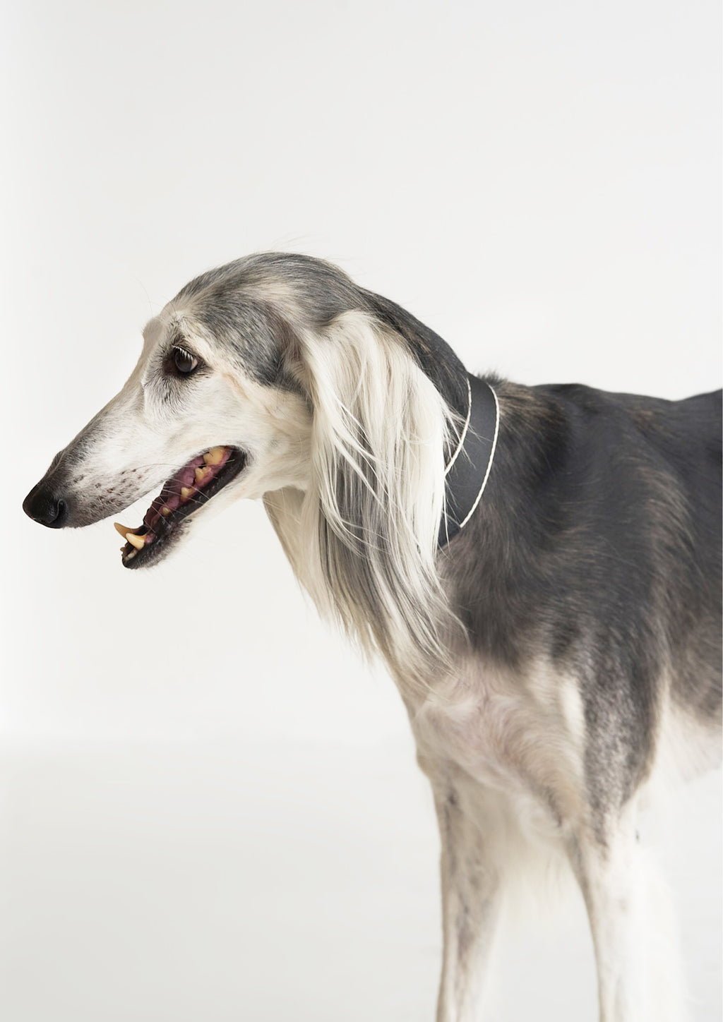 BREIT Collar