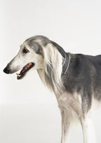 BREIT Collar