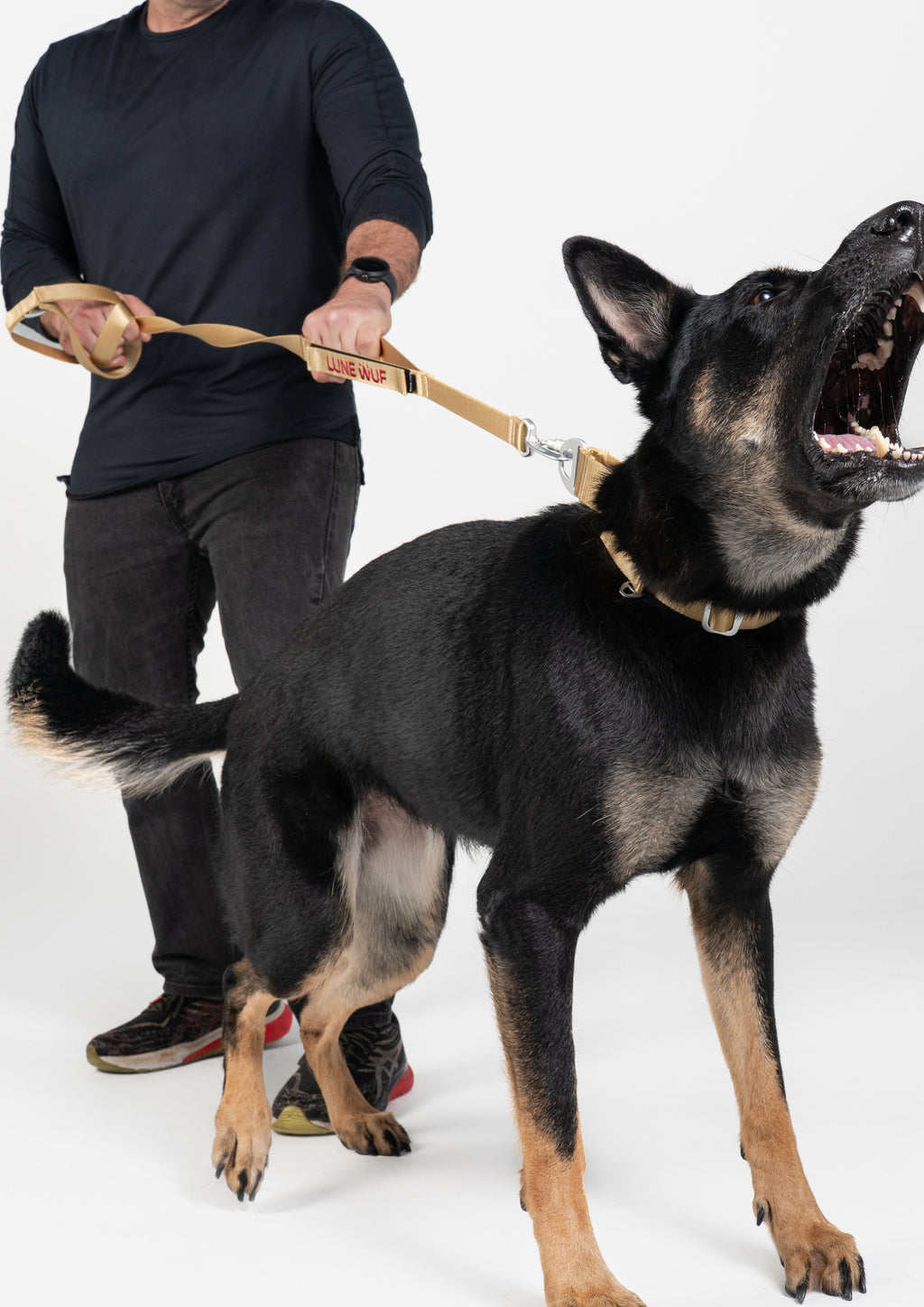 Plus Leash (Sand Dune)