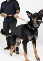 Plus Leash (Sand Dune)