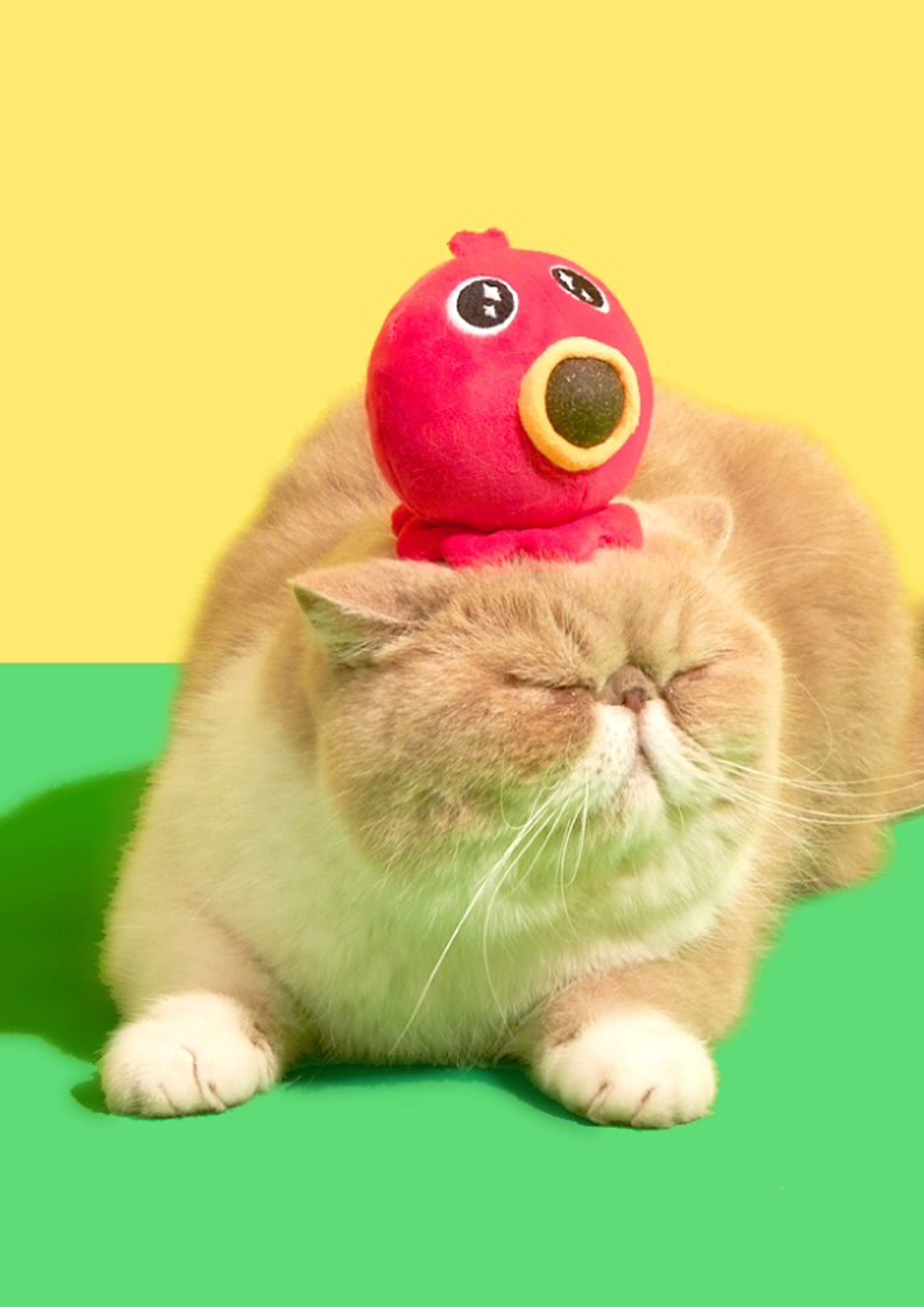Takoyaki Catnip Toy