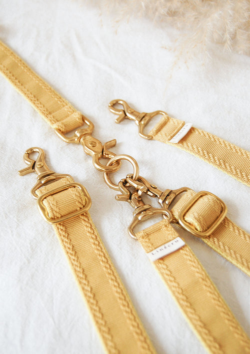 FJOL Multipurpose Leash (Dijon)