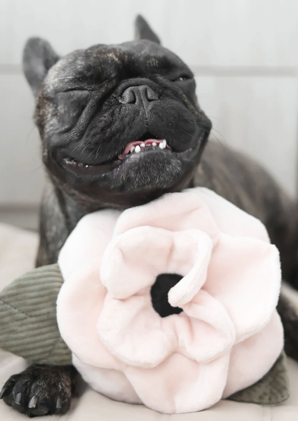 POPPY L Snuffle + Squeaky