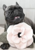 POPPY L Snuffle + Squeaky