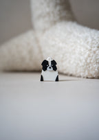 Border Collie Prosopa Charm