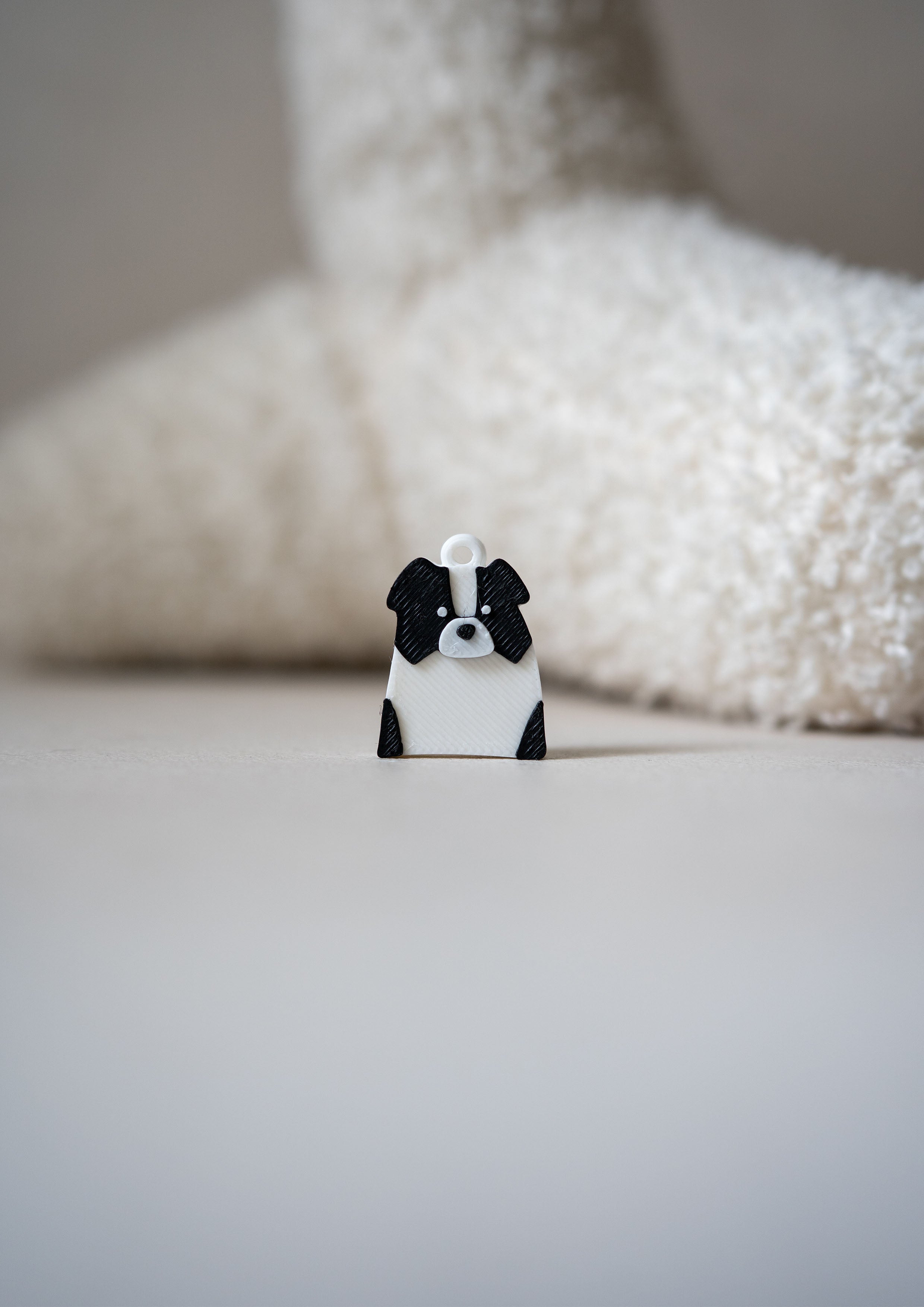 Border Collie Prosopa Charm