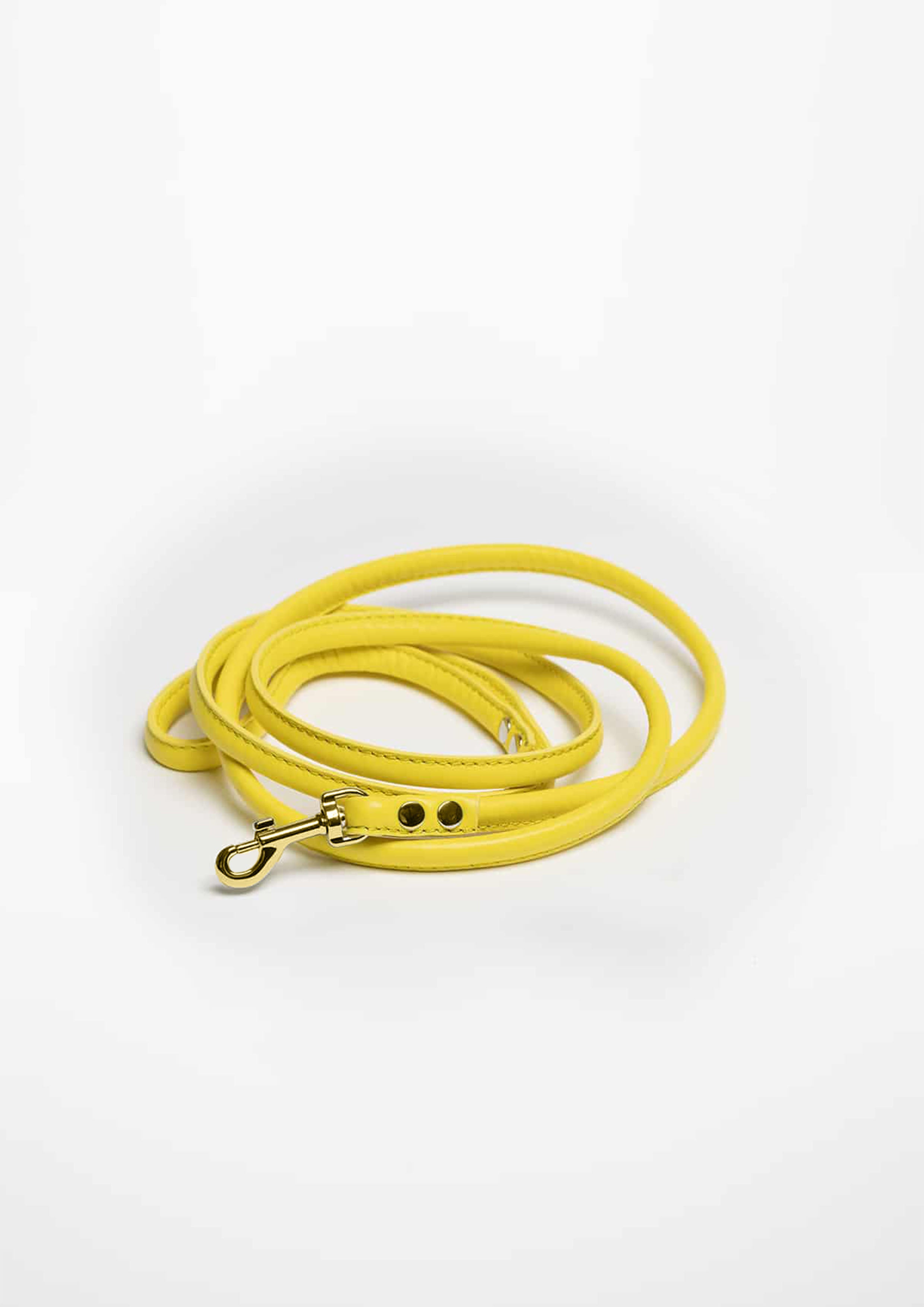 Yellow Vegan Lead