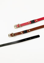 Custom Leather Breakaway Safety Collar