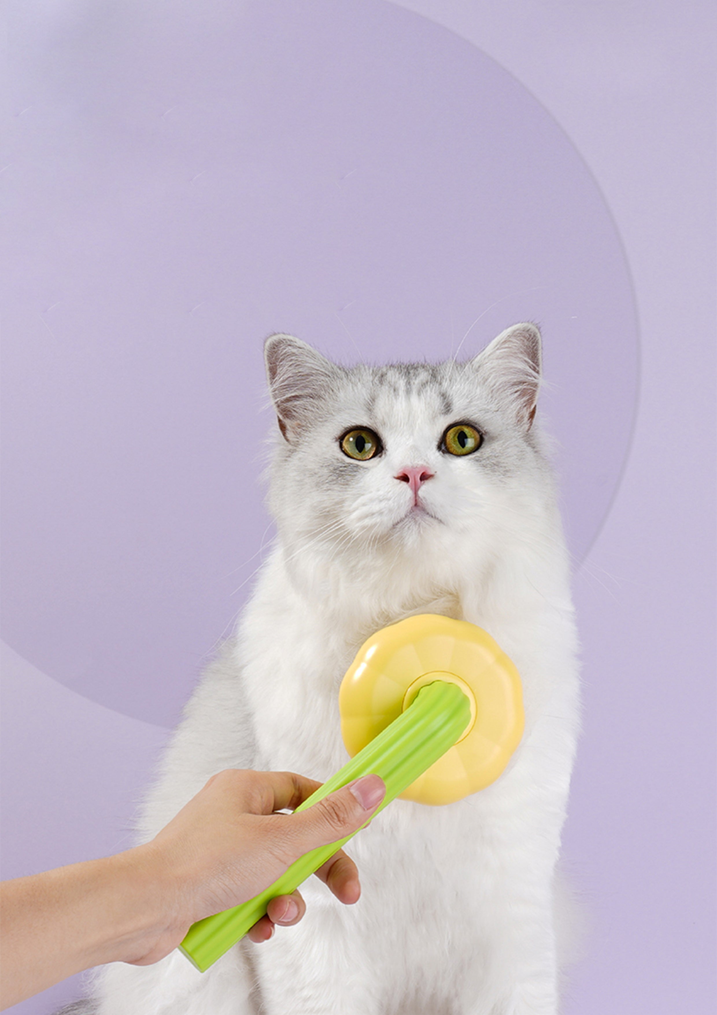 Sunflower Comb with Fur Remover