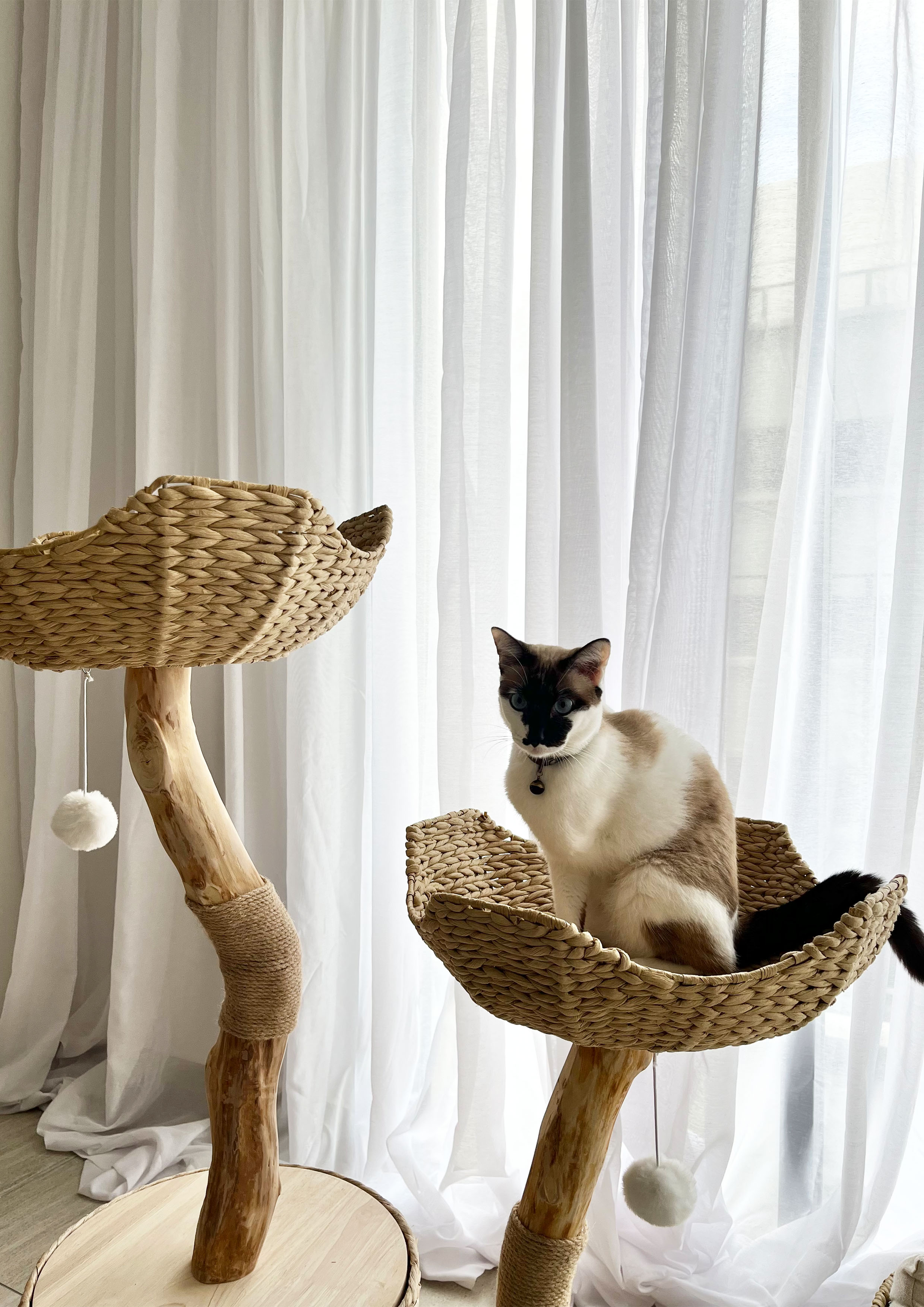 Litchi Nest Cat Tree