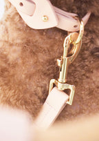 Arkika Microfiber Collar
