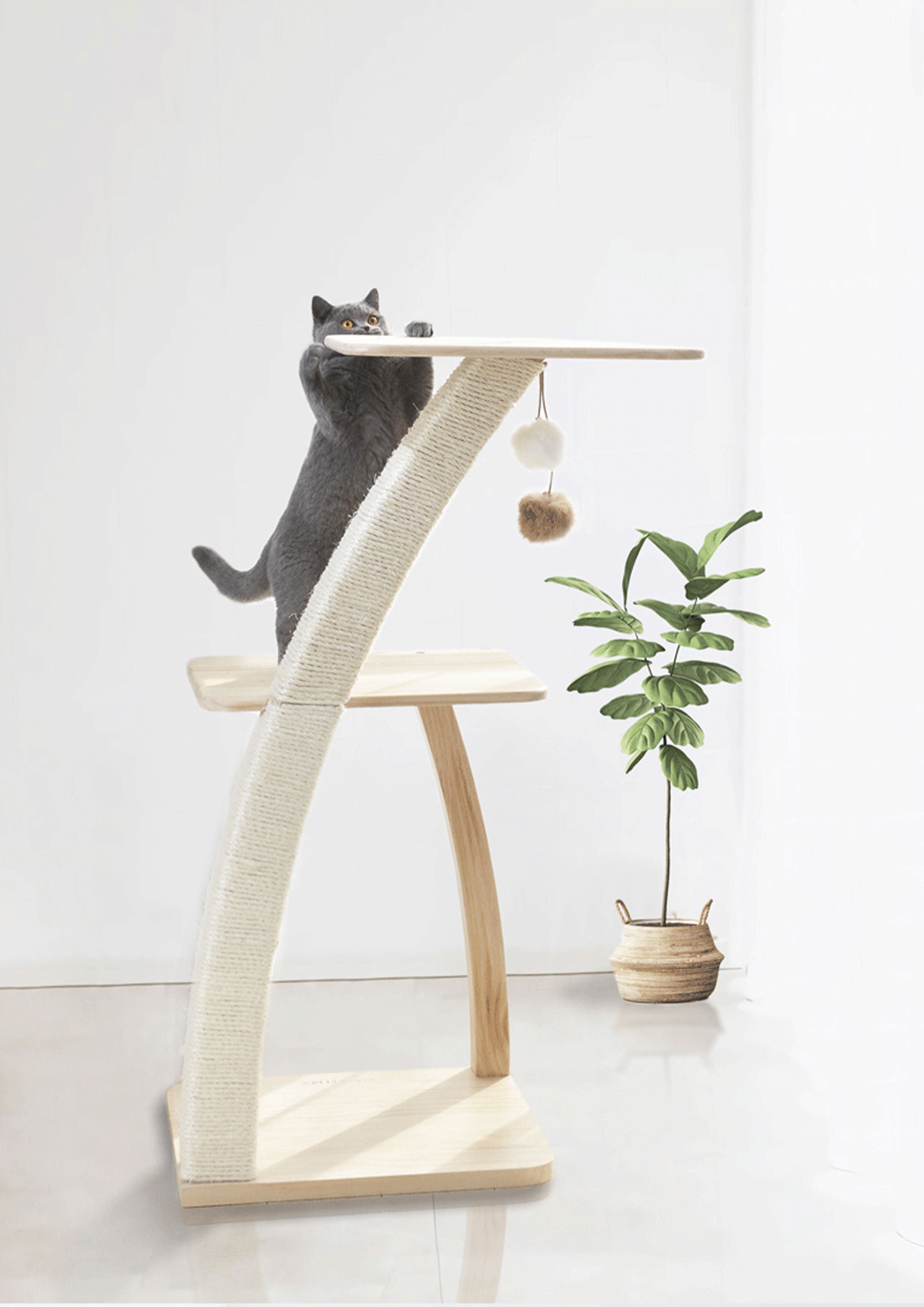 COCOTIER Cat Tree