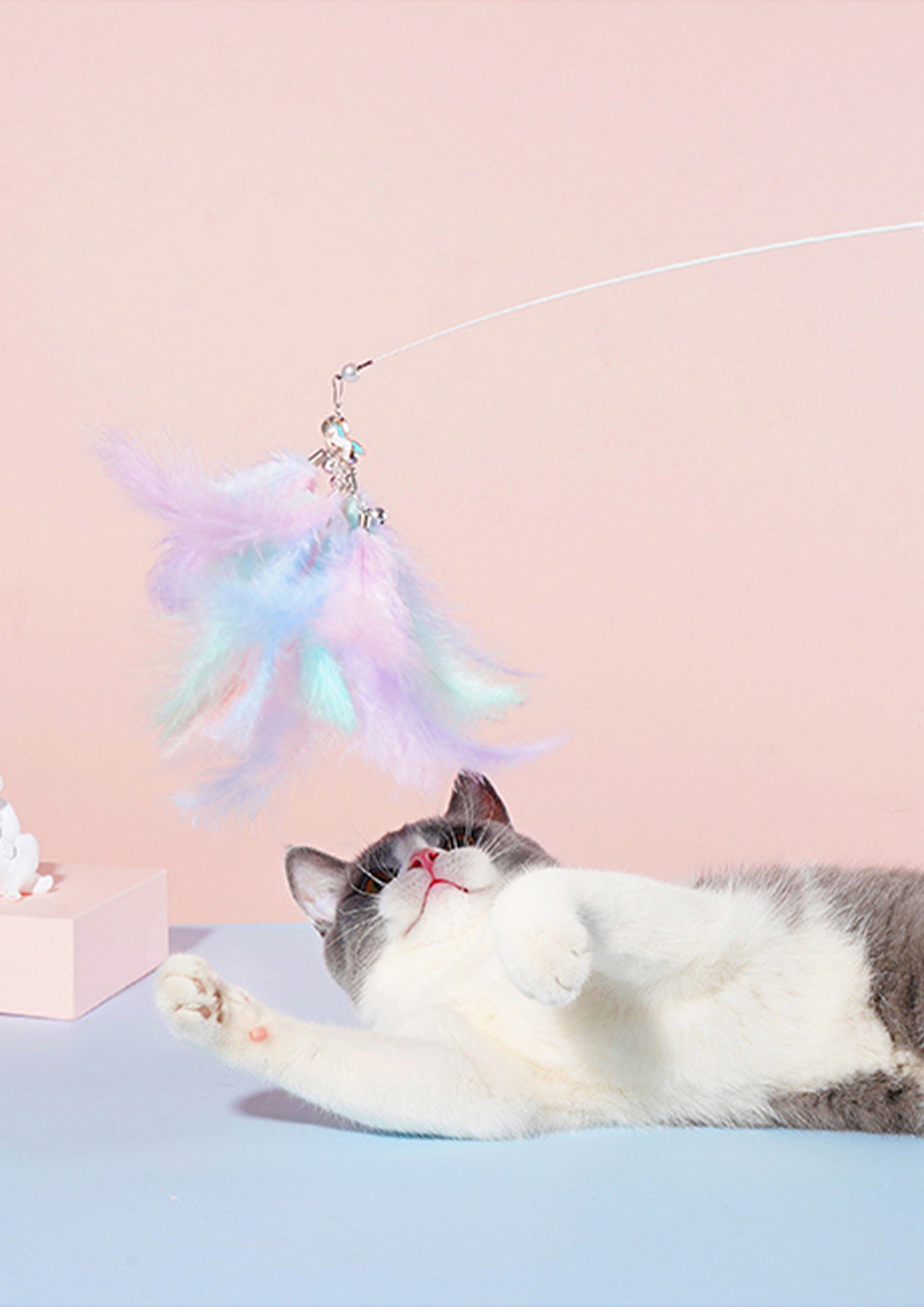 Unicorn Cat Teaser