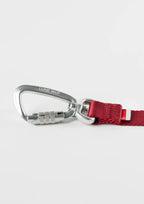 Handsfree Leash Set (Signature Red)