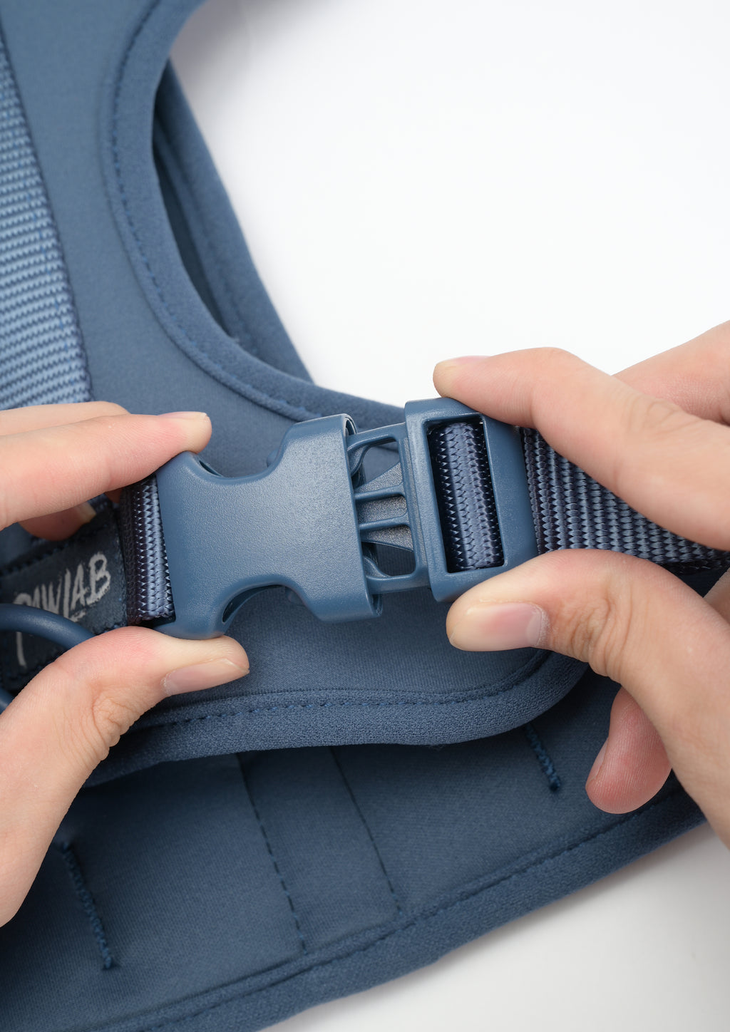 Elastane Harness