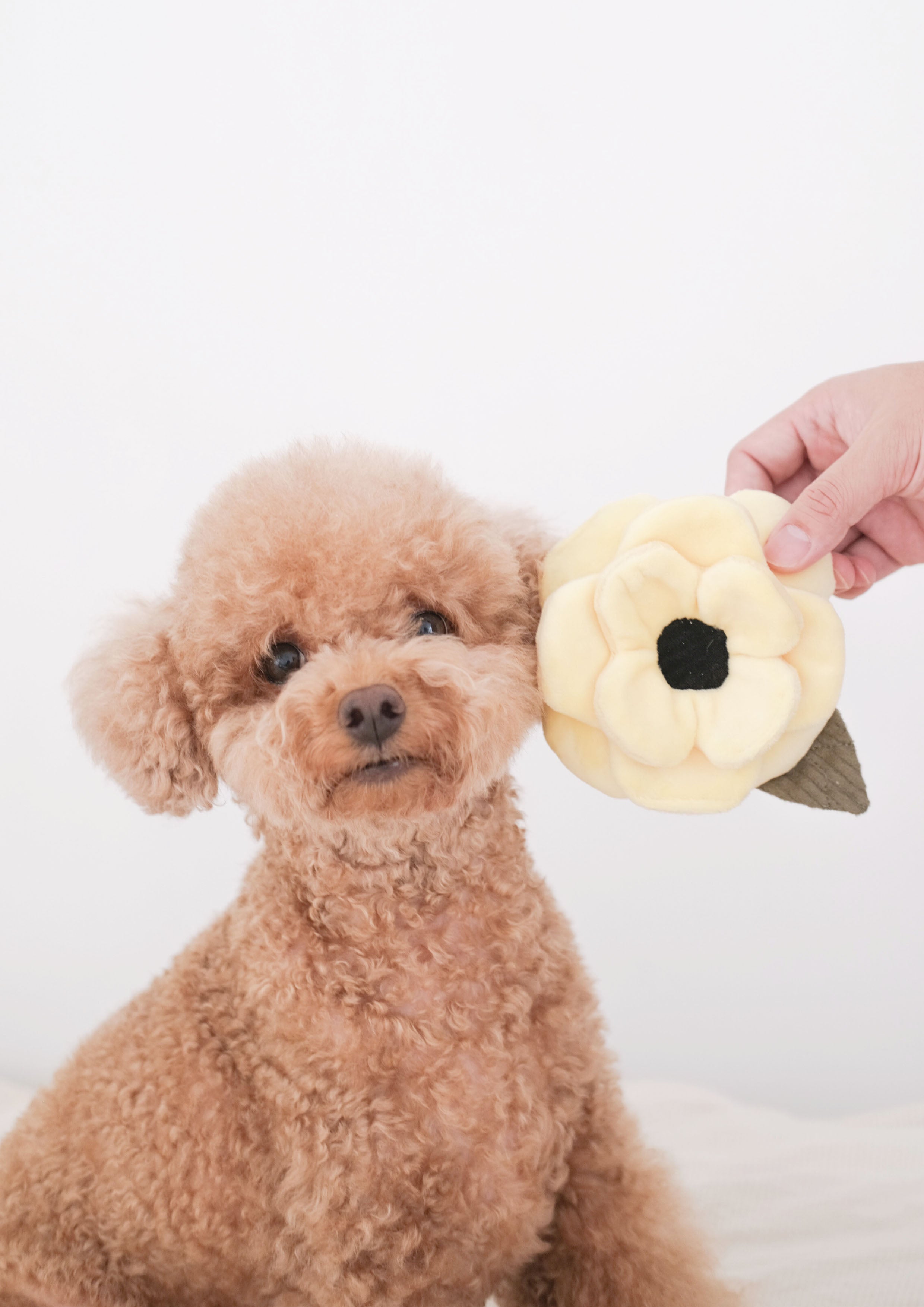 POPPY S Snuffle + Squeaky