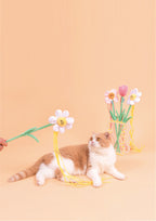 Ixora Cat Teaser with Catnip