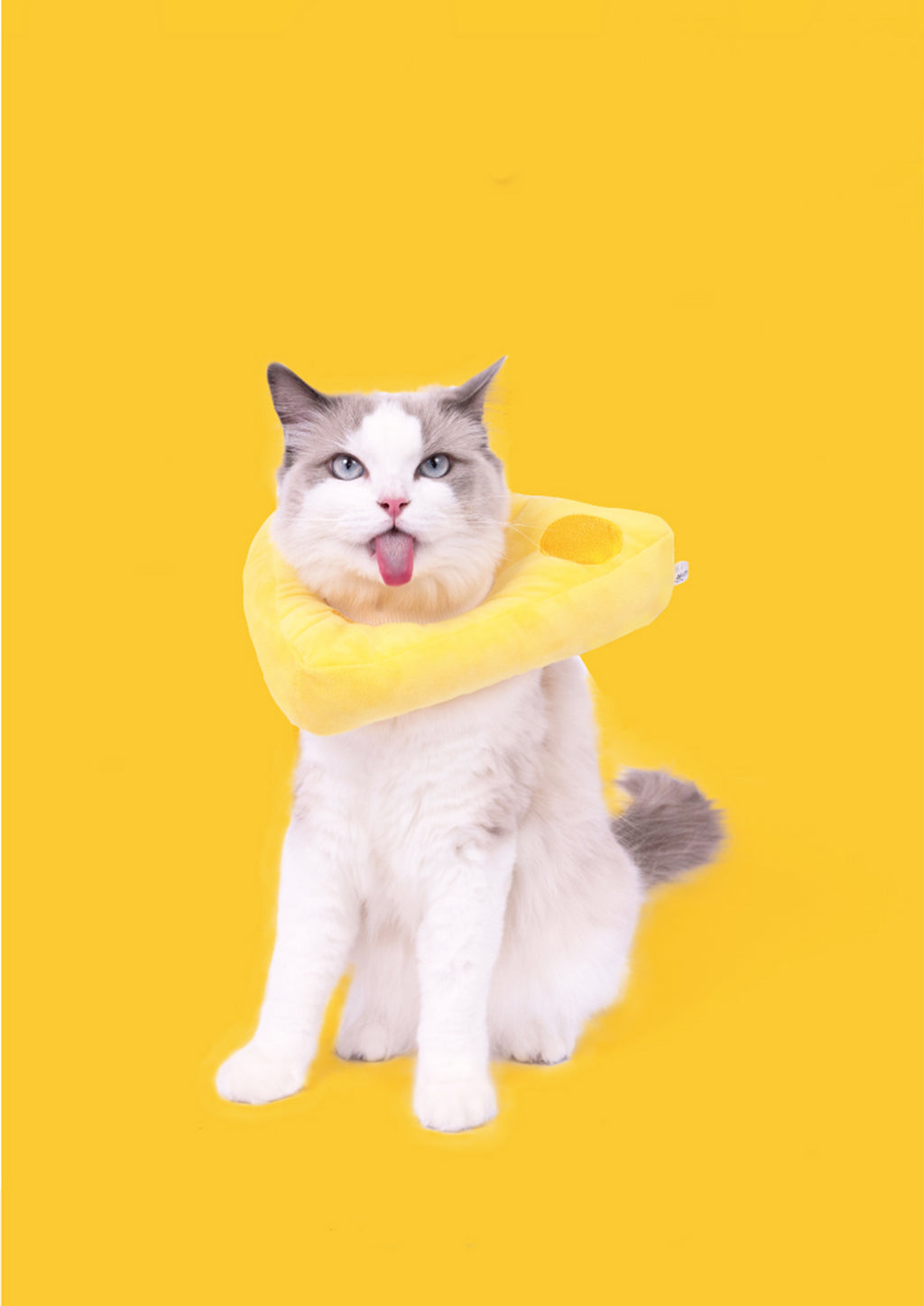 Cheese Cone