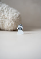 Siamese Prosopa Charm