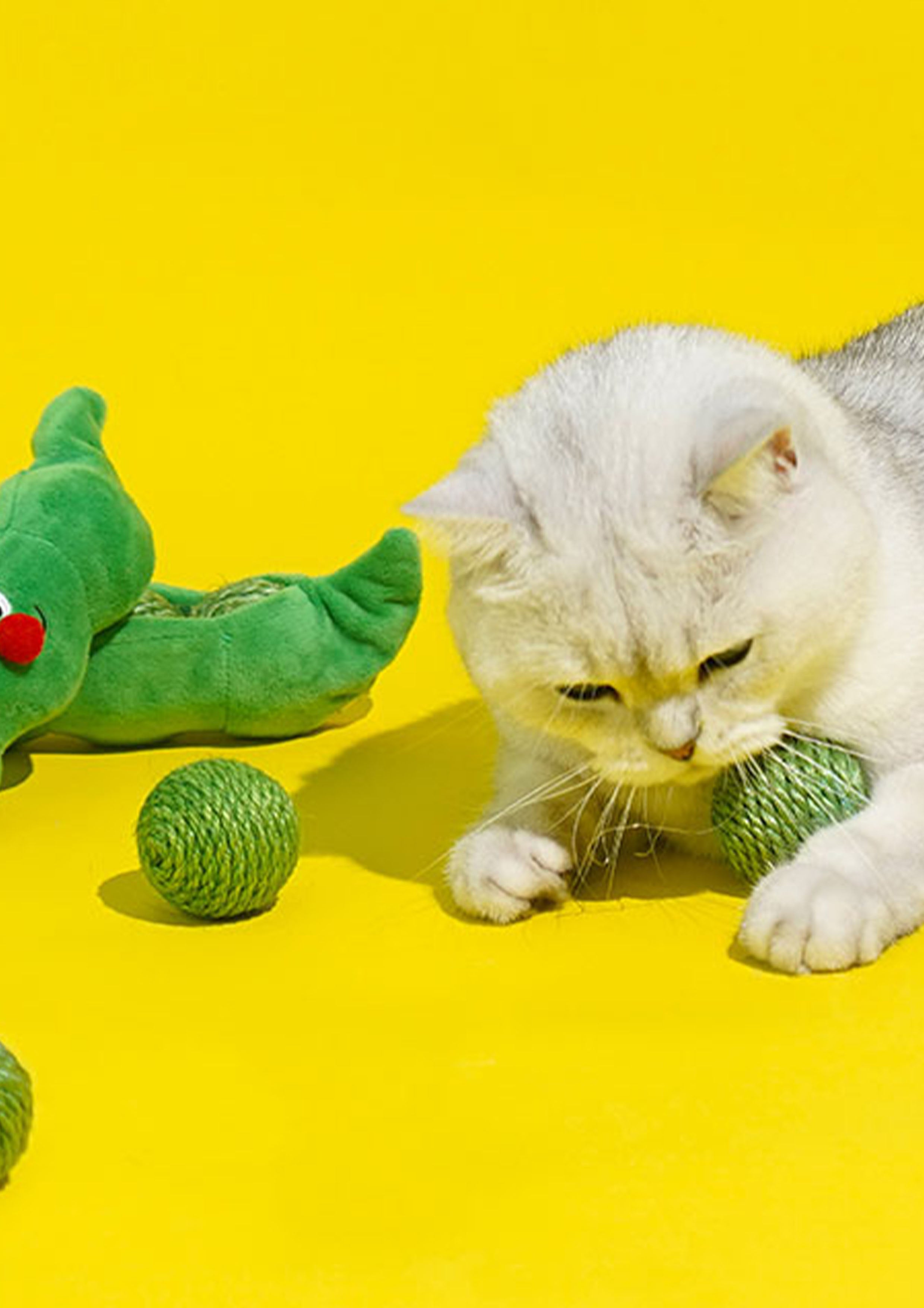 Green Pea Nosework Toy