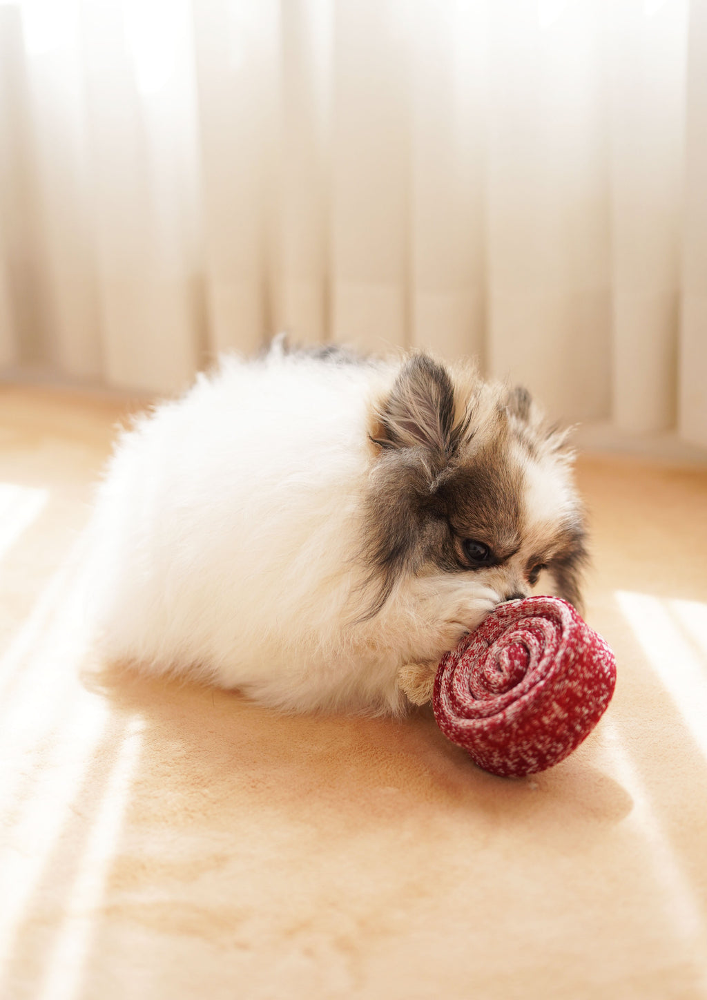 LOLLIPOP Snuffle