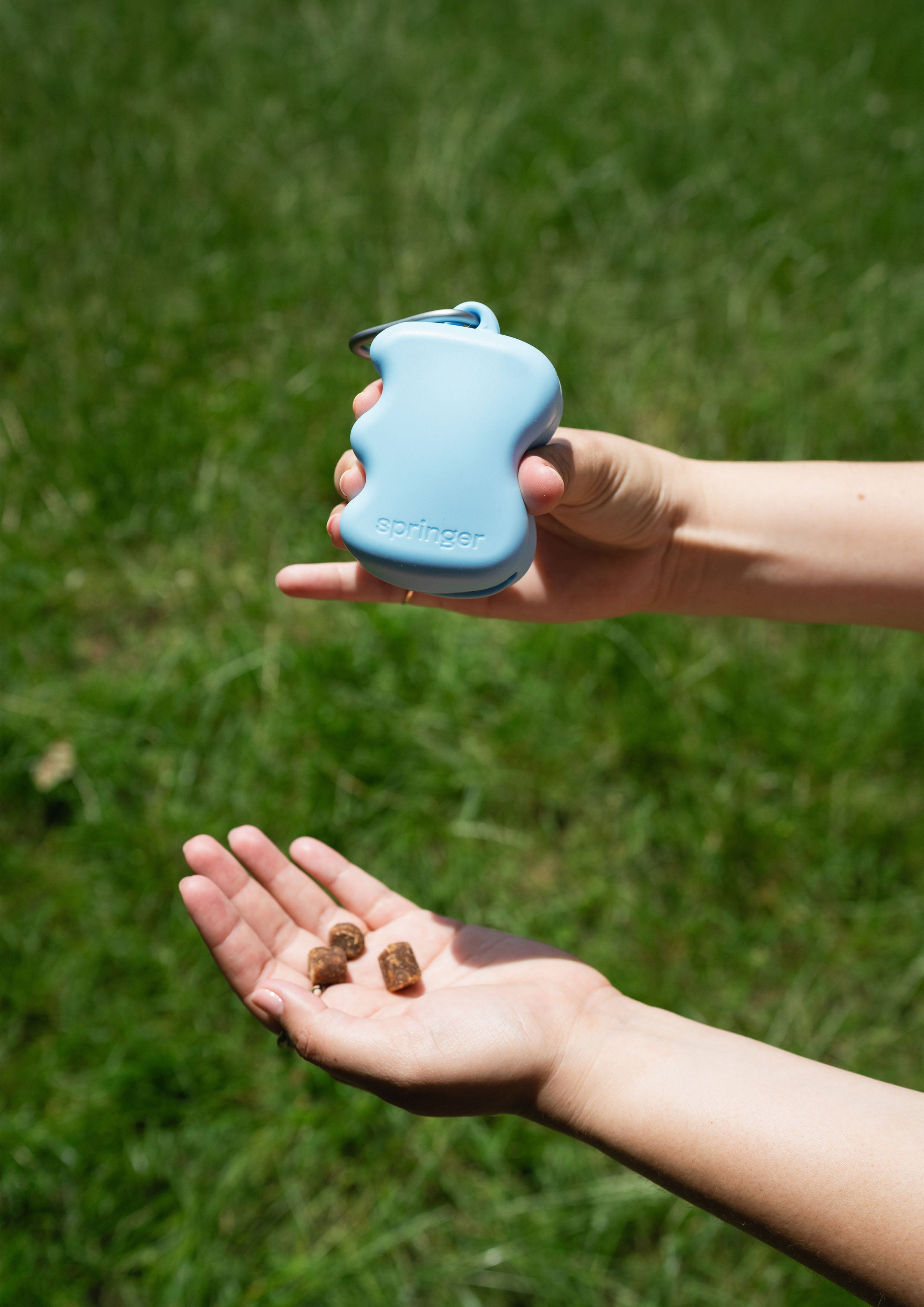 Silicone Dog Treat Dispenser (Sky Blue)
