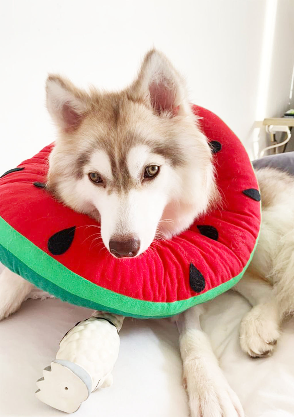 Watermelon Cone