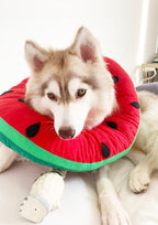 Watermelon Cone