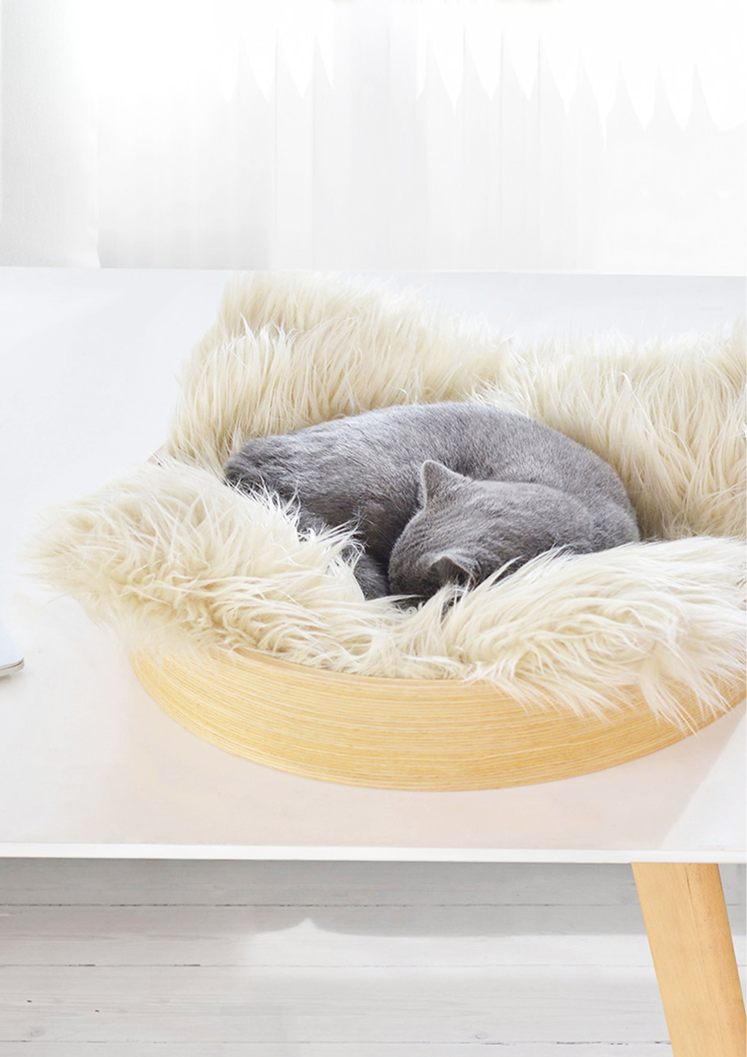 RING Nest