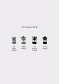 Schnauzer Prosopa Charm