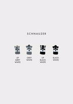Schnauzer Prosopa Charm