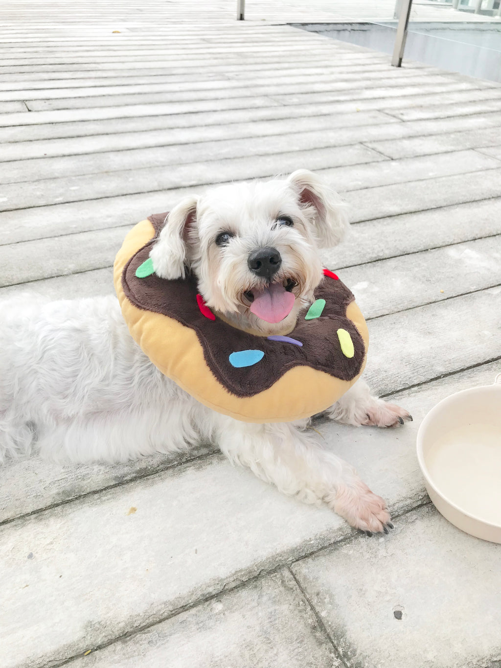 Chocolate Donut Cone