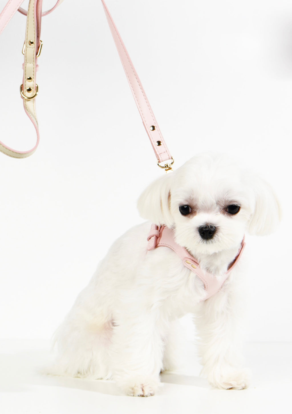LETA Harness & Leash Set (Grey)