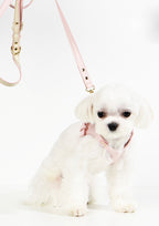 LETA Harness & Leash Set (Grey)