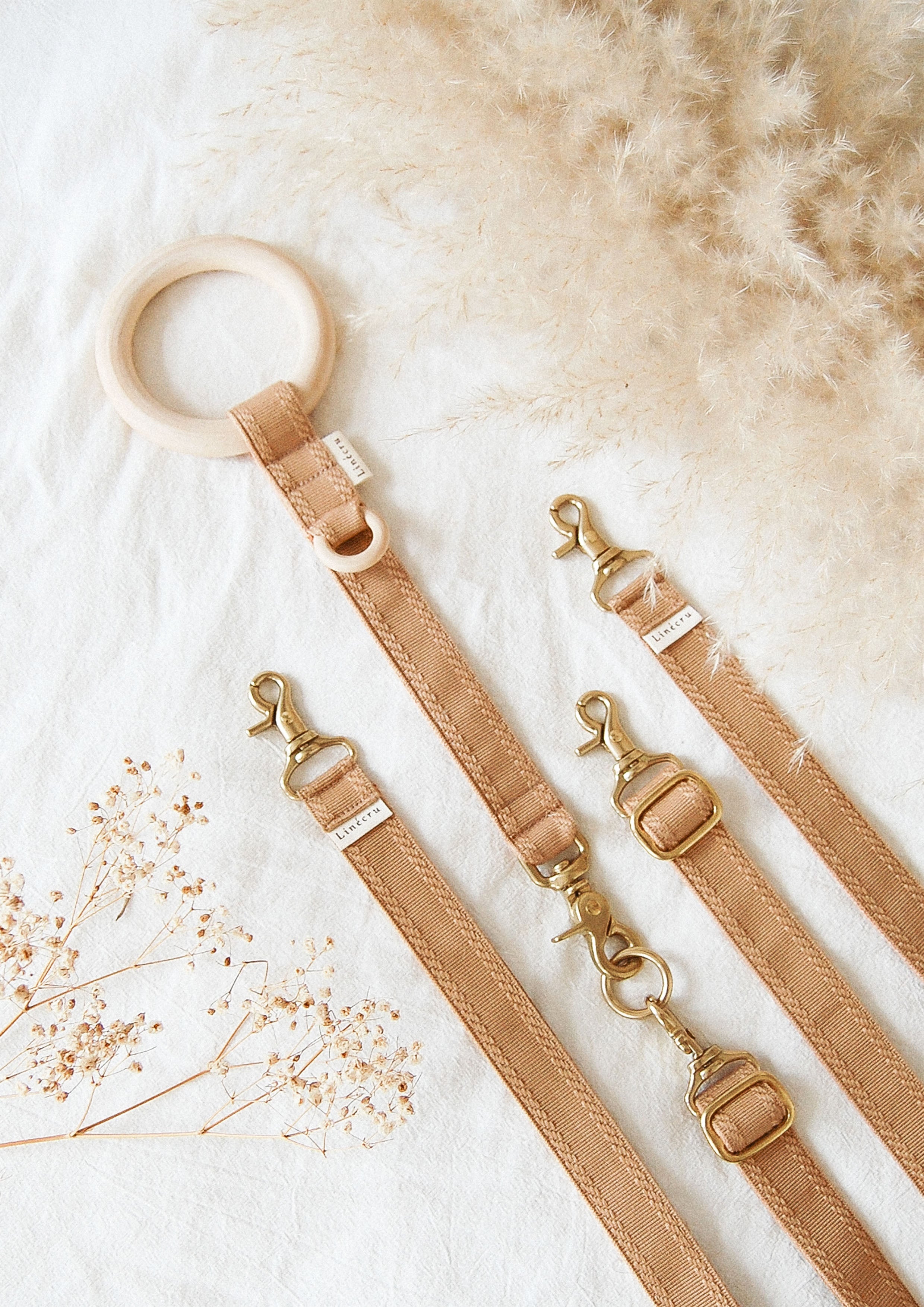 FJOL Multipurpose Leash (Isabella)