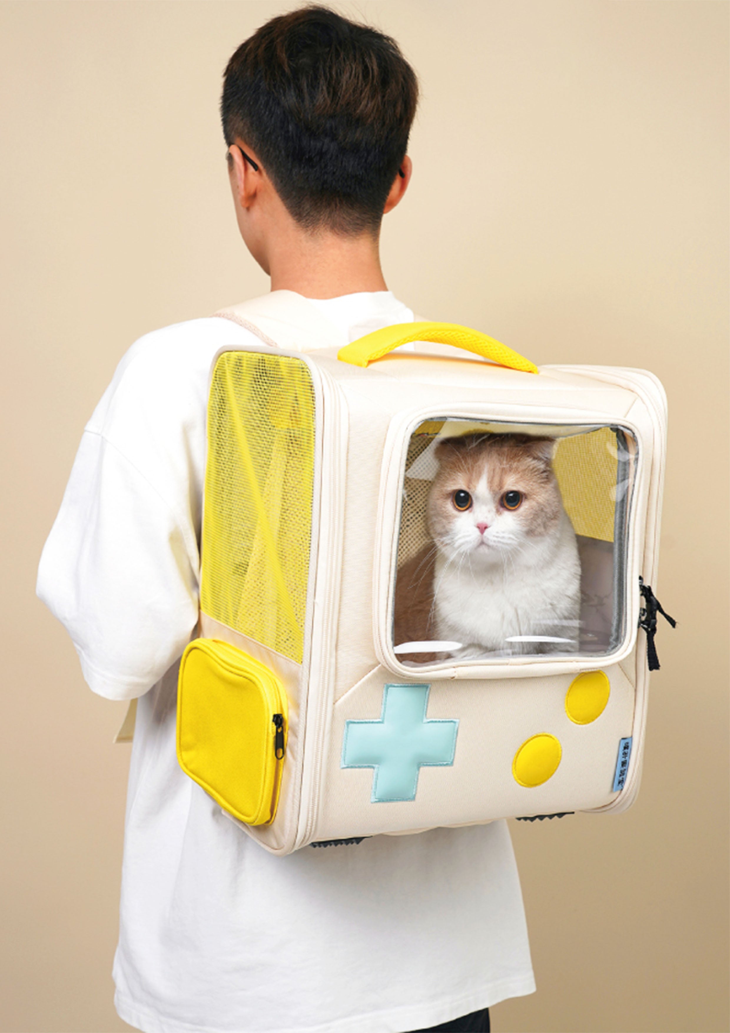 Game Boy Carrier