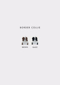 Border Collie Prosopa Charm
