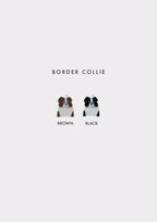 Border Collie Prosopa Charm