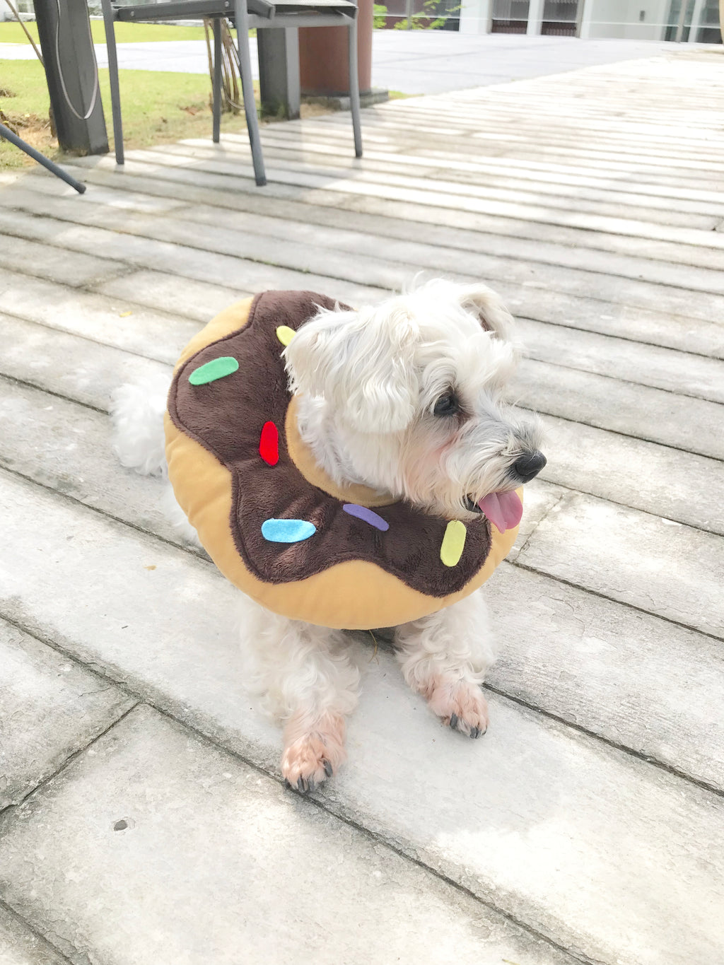 Chocolate Donut Cone