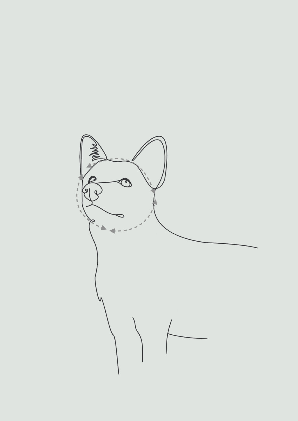 MAIA Limited Slip Collar