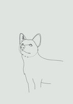 MAIA Limited Slip Collar